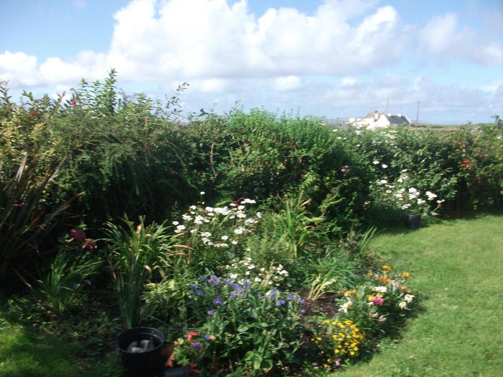 Fuchsia House Bed&Breakfast Connemara Renvyle Exterior foto